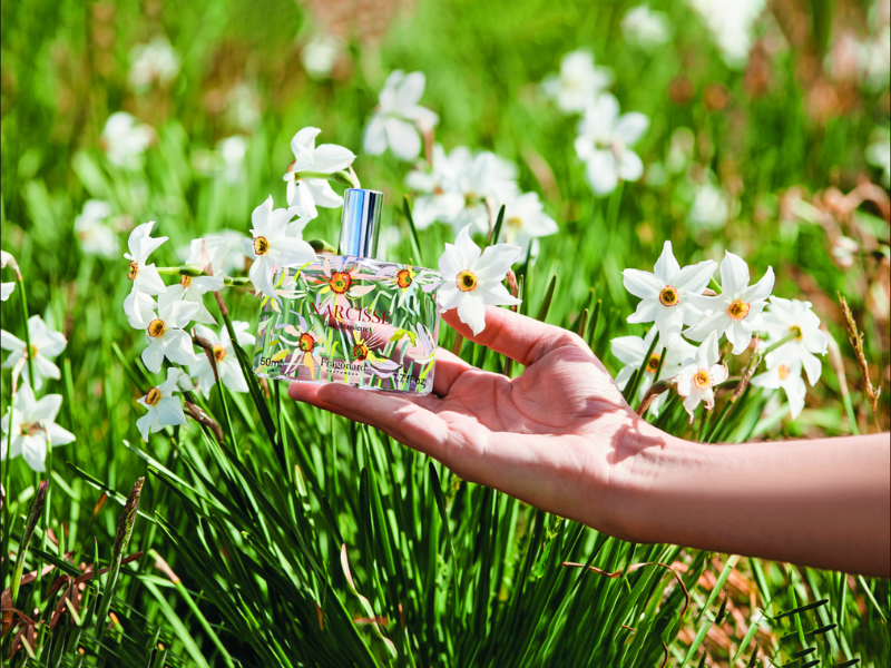 Narcisse Fragonard's Flower of the year 2023 Taylor Francis and Co