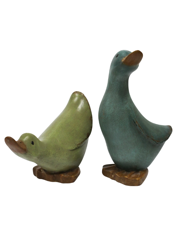 LaVida Coloured Ducks Set of 2