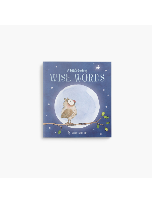 A Little Book of Wise Words by Kate Knapp