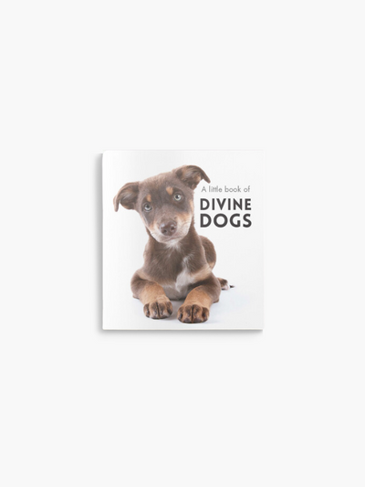 Affirmations A Little Book Of Divine Dogs (cover)