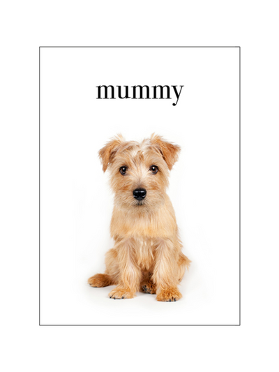 Affirmations Mummy Card