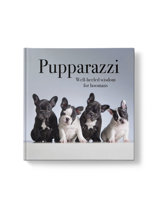 Affirmations Pupparazzi Book