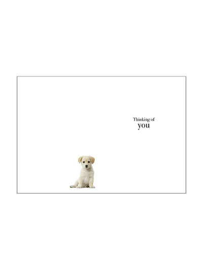 Affirmations Those We Love Don't Go Away Card