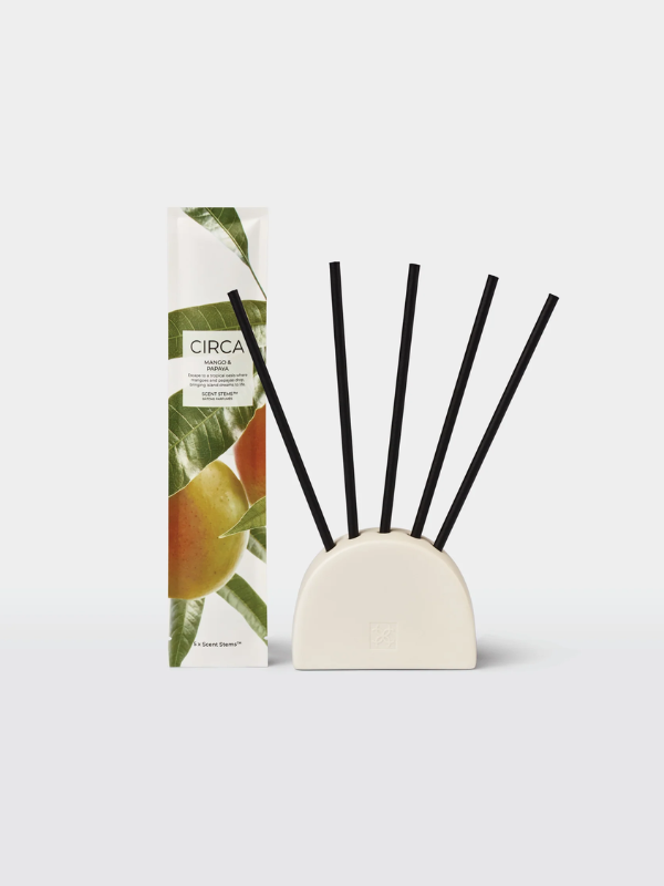 CIRCA Mango & Papaya Scent Stems