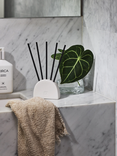 CIRCA Watermelon & Coconut Scent Stems