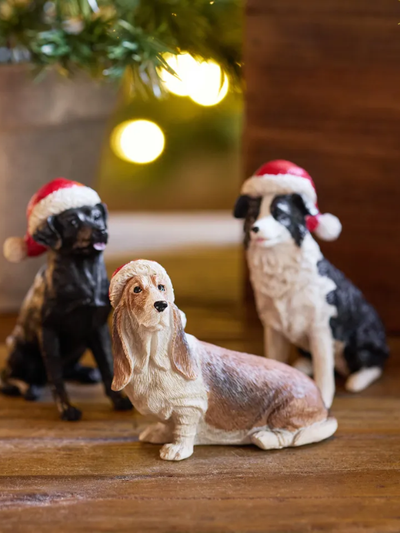French Country Dachshund with Santa Hat
