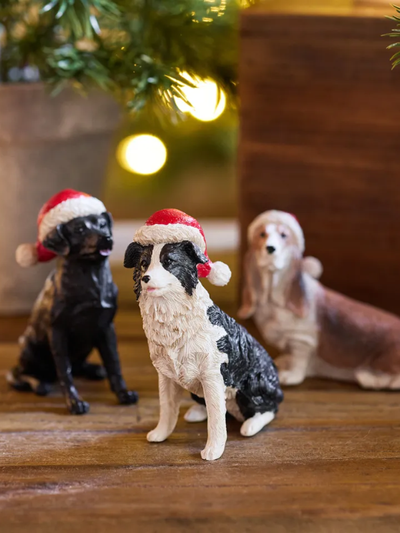 French Country Sheep Dog with Santa Hat