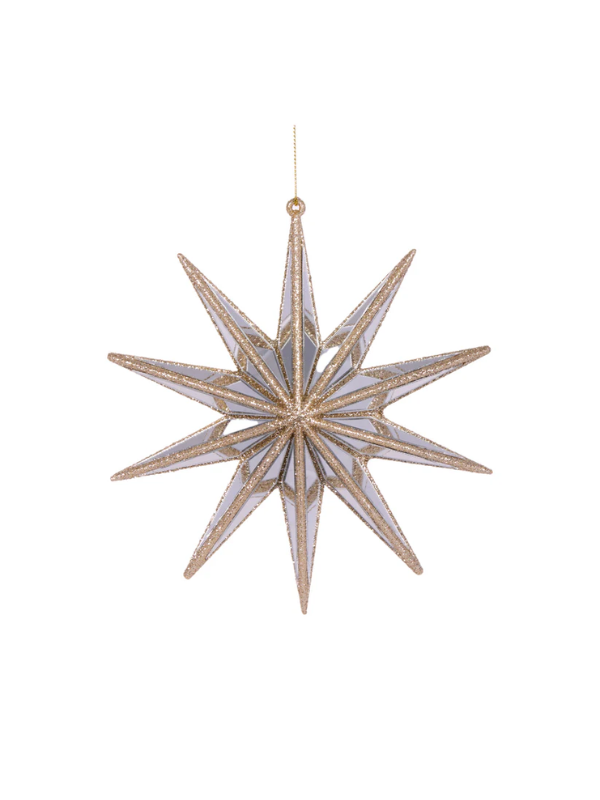 Holly & Ivy 10 Point Hanging Star Champagne