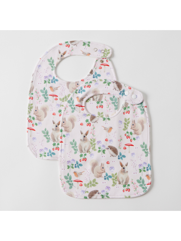 Jiggle & Giggle Enchanted Bib Set