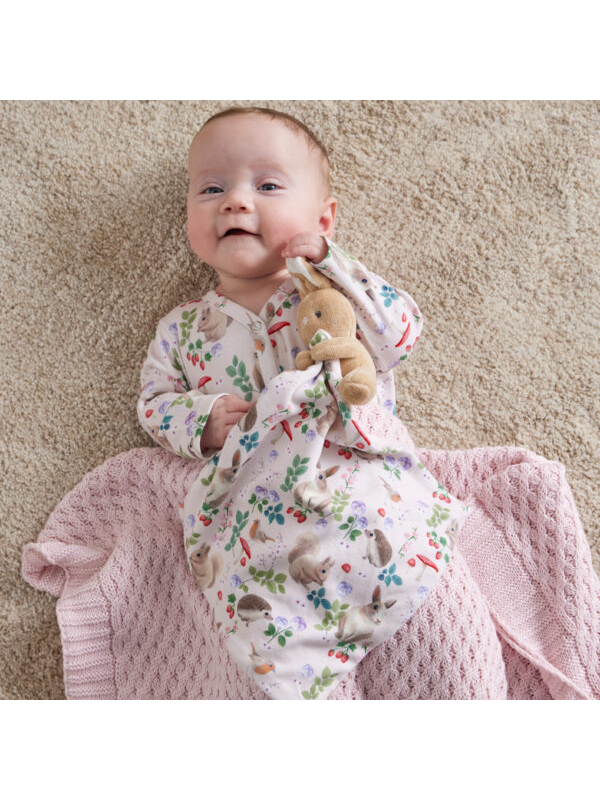 Jiggle & Giggle Enchanted Jersey Romper & Comforter Set