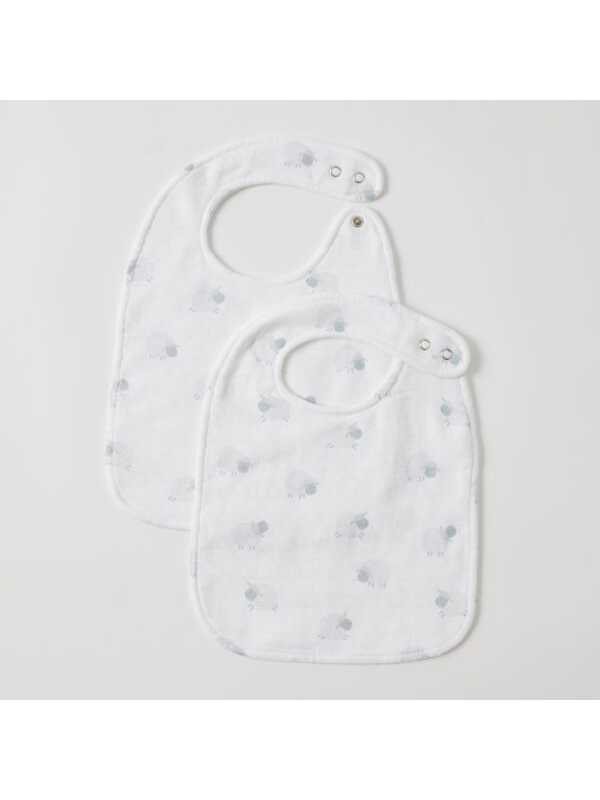 Jiggle & Giggle In the Meadow Bib Set