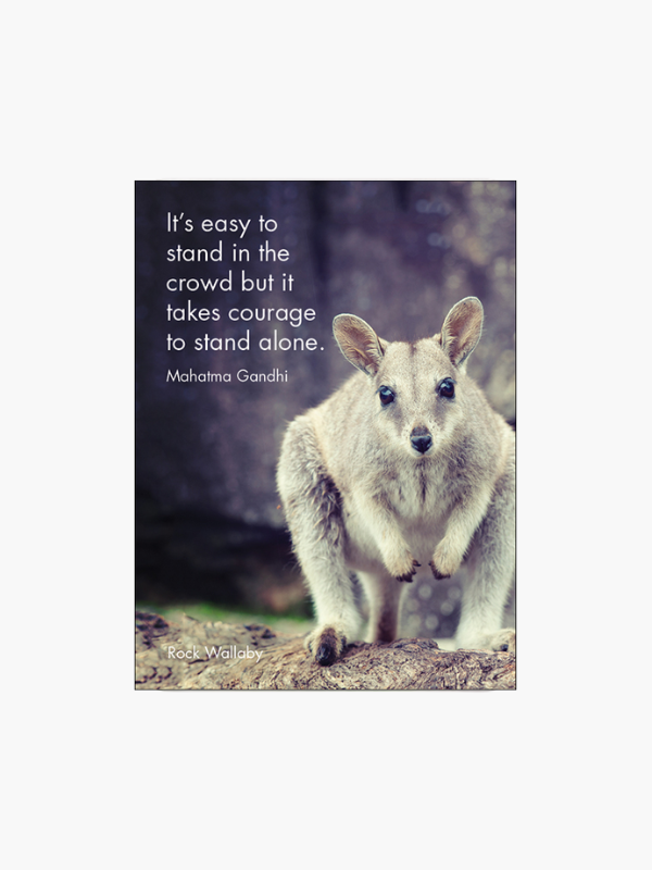 Little Affirmations Awesome Aussies Affirmation Card