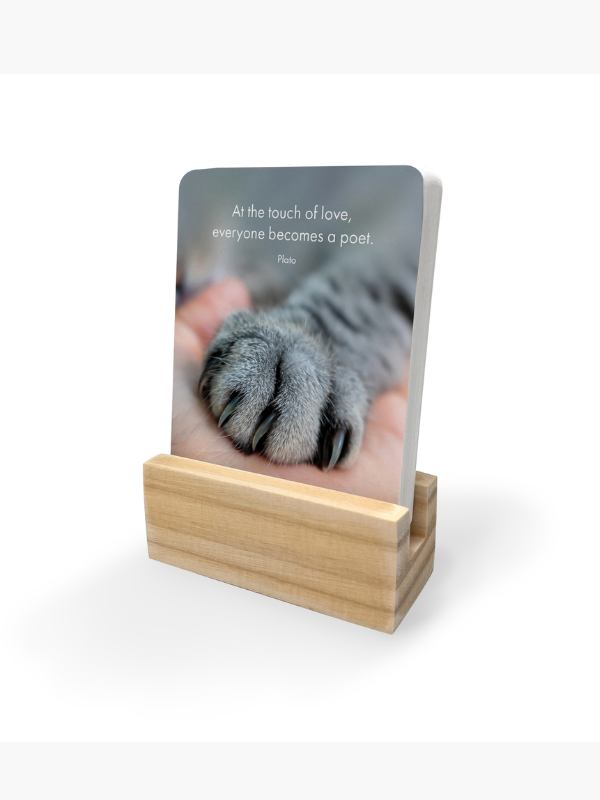 Little Affirmations The Great Catsby Affirmation Card Stand