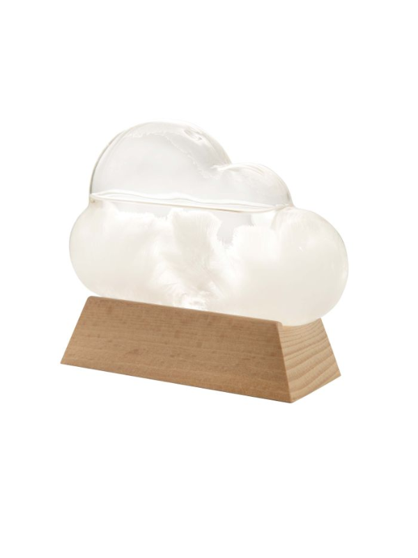 Maverick Cloud Weather Station