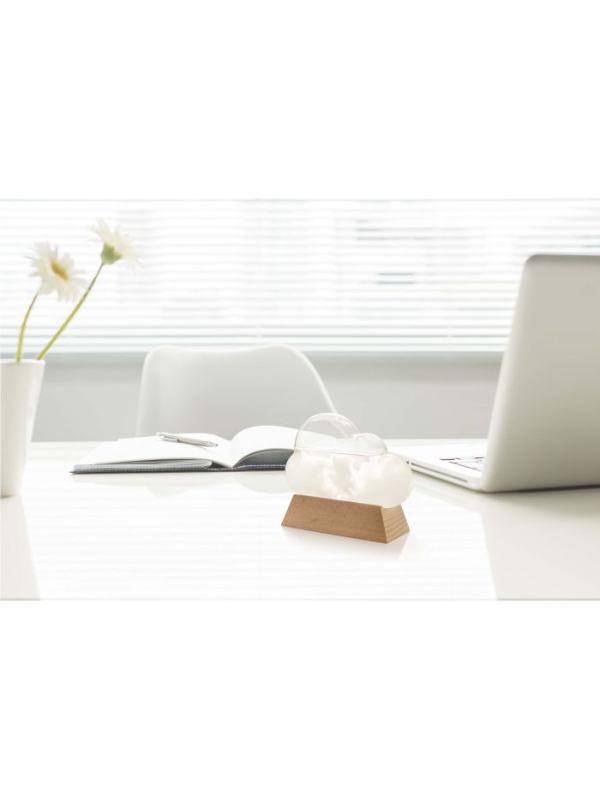 Maverick Cloud Weather Station