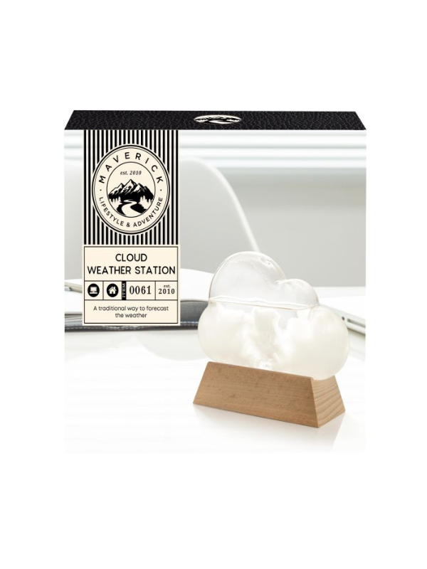 Maverick Cloud Weather Station