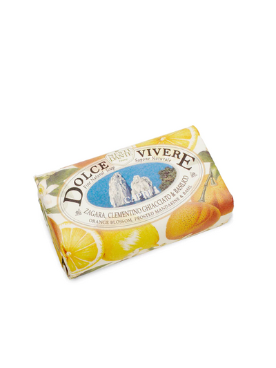 Nesti Dante Dolce Vivere Capri Soap 250g