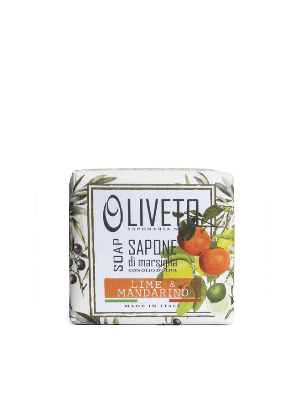 Nesti Dante Oliveto Lime & Mandarino Soap 200g