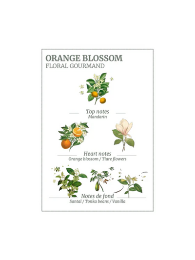 Panier des Sens Orange Blossom Fragrance Notes