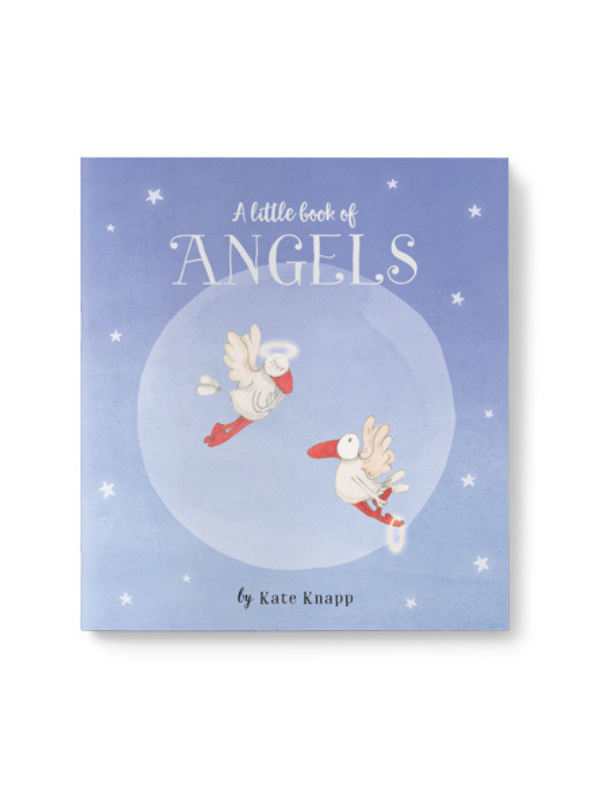 Twigseeds A Little Book of Angels by Kate Knapp