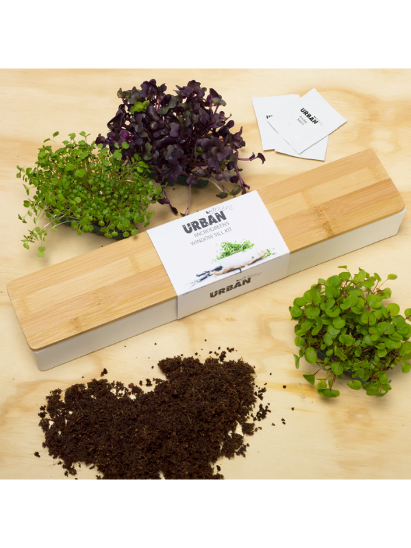 Urban Greens Micro Greens Windowsill Box